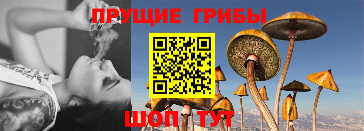 Псилоцибиновые грибы прущие грибы Бутурлиновка